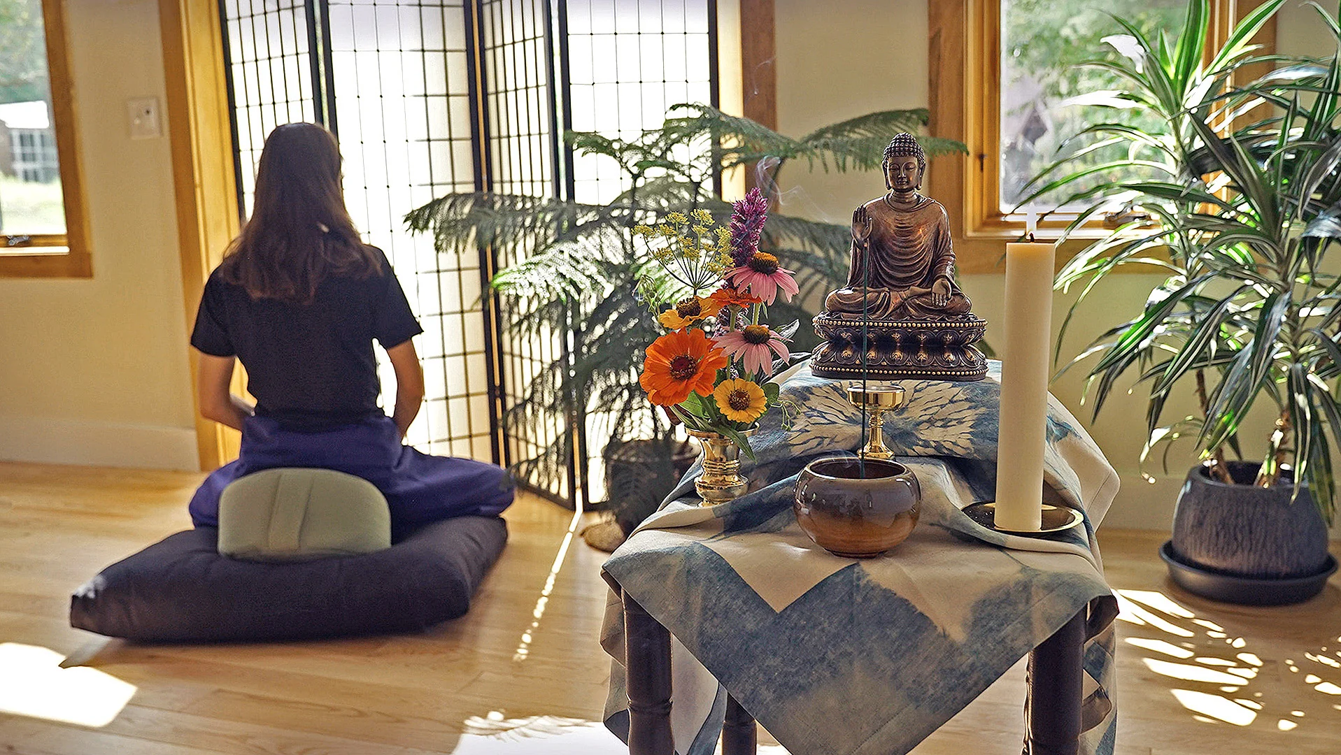 Cultivate Peace in Every Moment