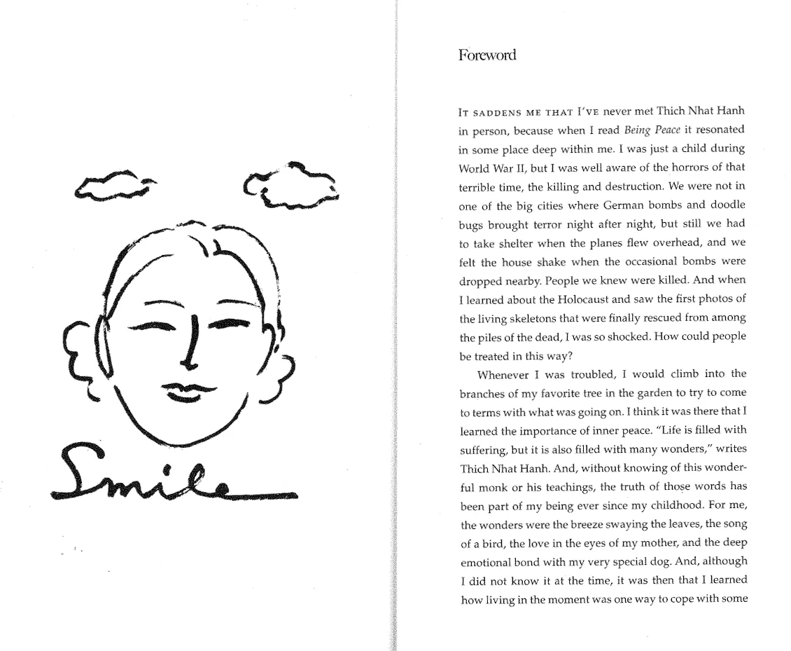 Being Peace - Image 3