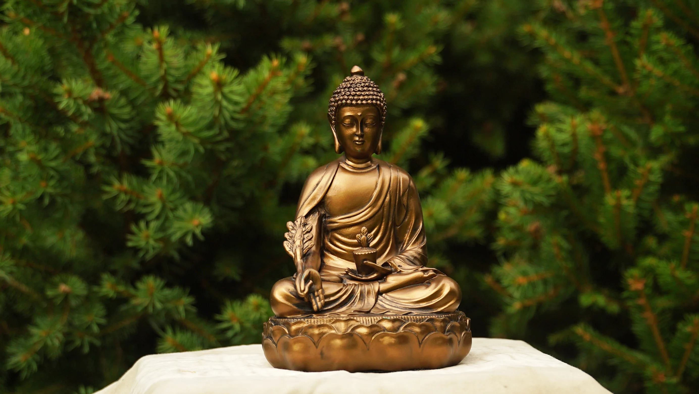 Bronze Medicine Buddha - Image 3