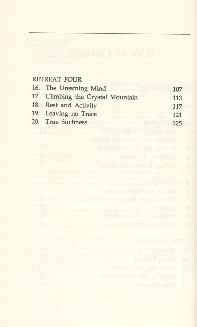 Faith in Mind: A Commentary on Seng Ts'an's Classic - Image 4