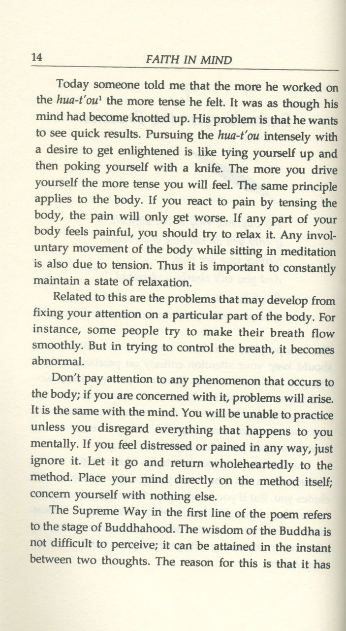 Faith in Mind: A Commentary on Seng Ts'an's Classic - Image 6