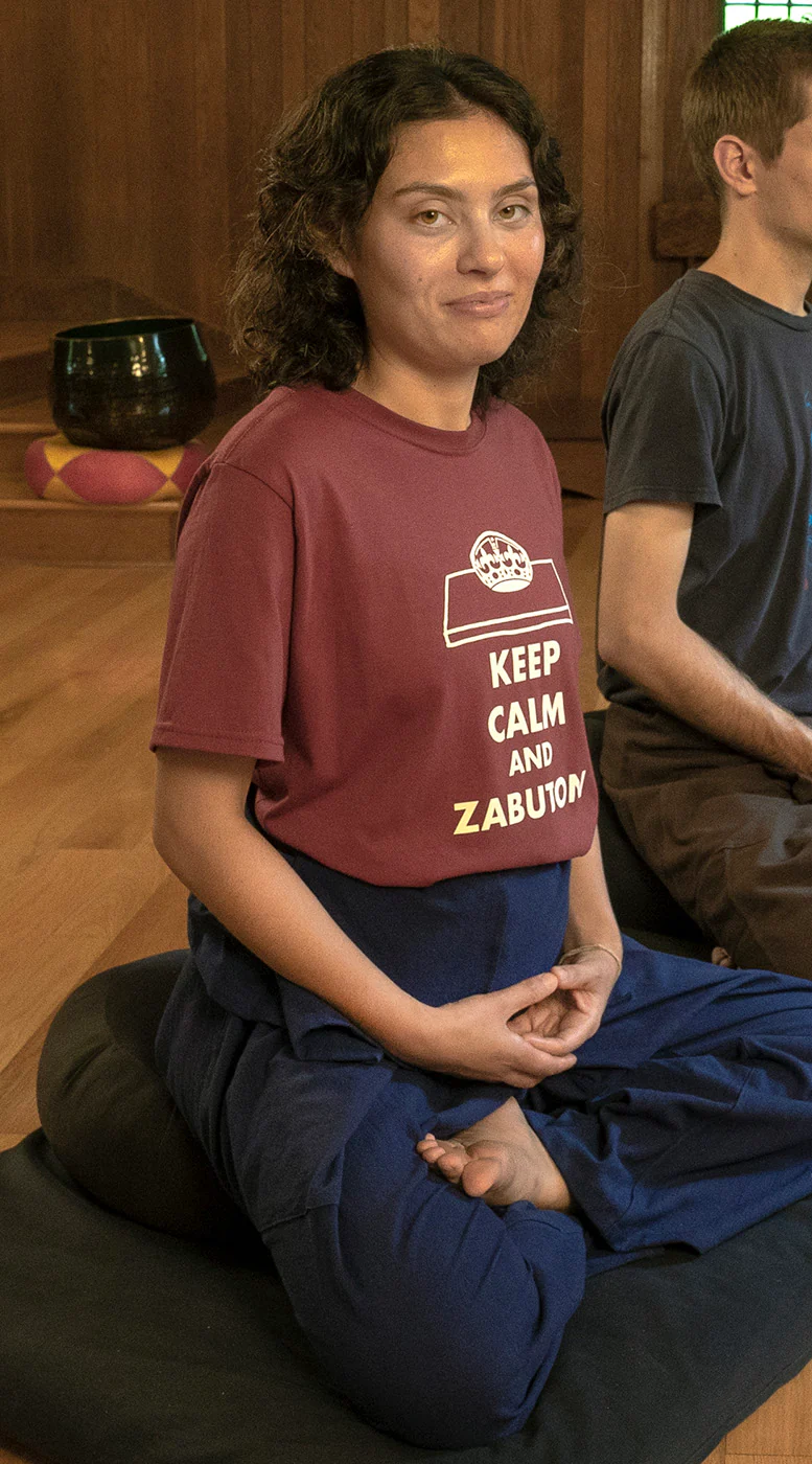 Keep Calm and Zabuton Tee - Image 4