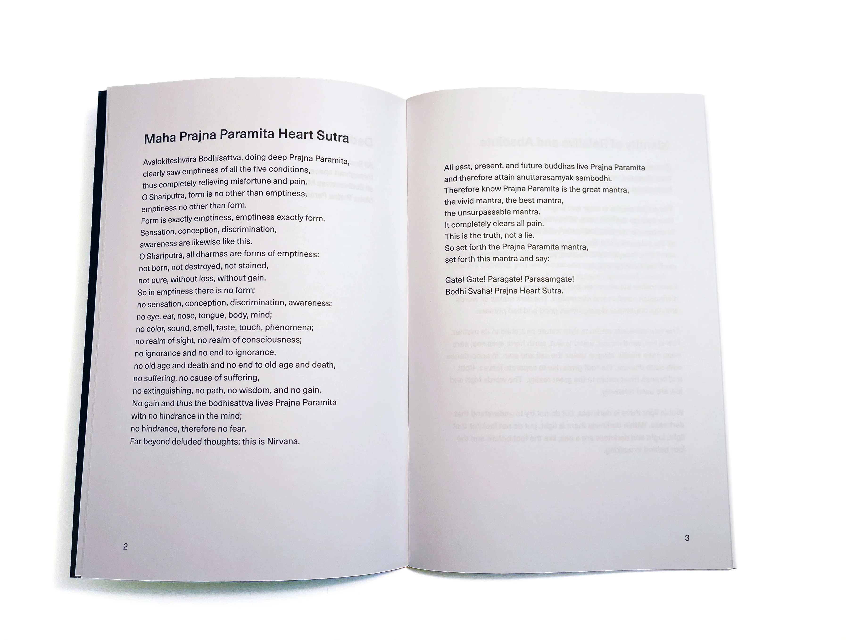 Mountains and Rivers Order Liturgy Manual - Image 3