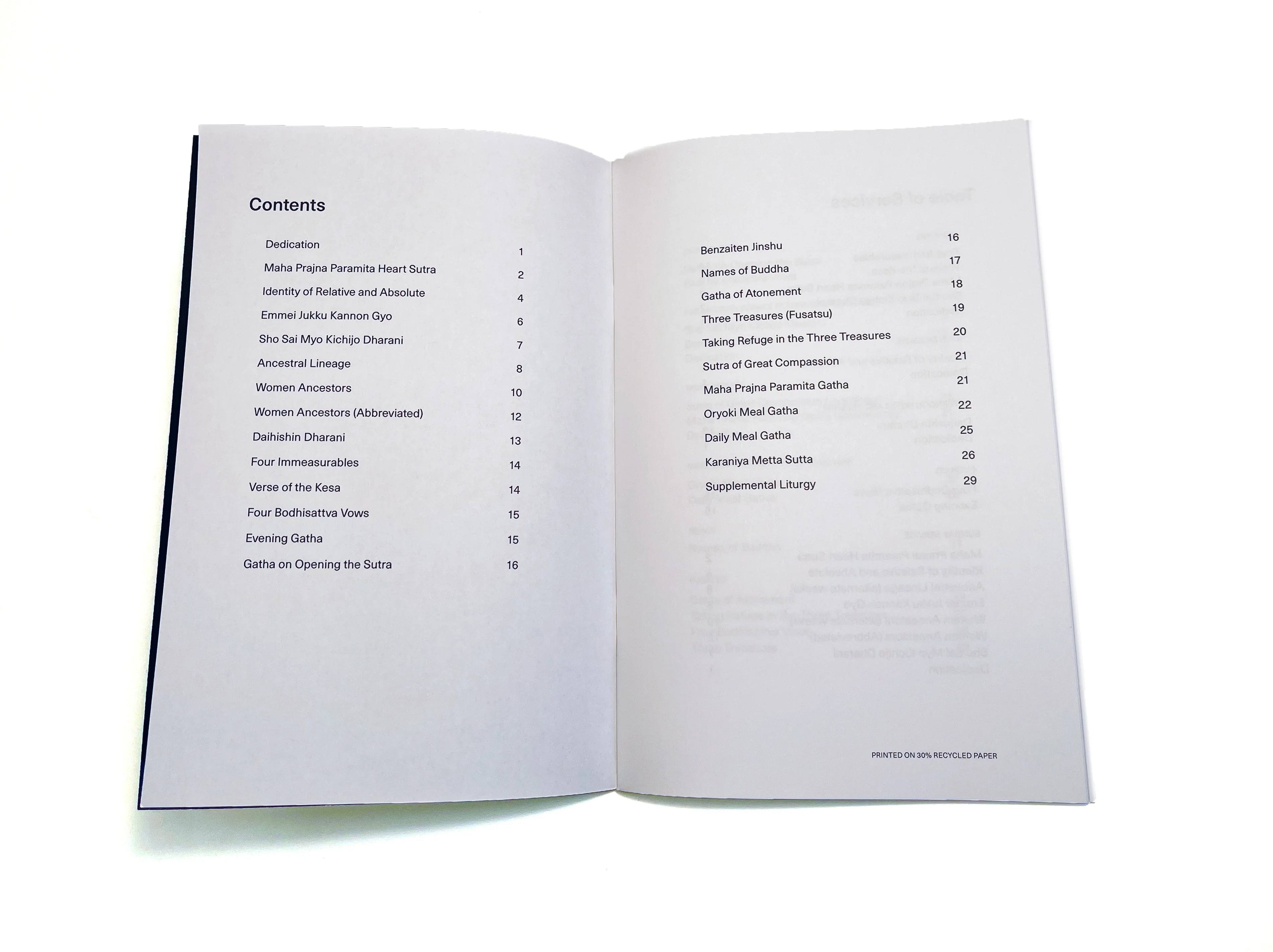 Mountains and Rivers Order Liturgy Manual - Image 5