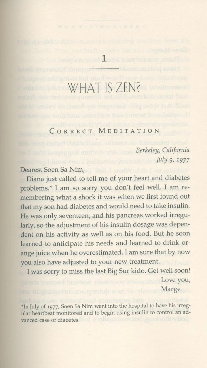Only Don't Know: Selected Teaching Letters of Zen Master Seung Sahn - Image 6
