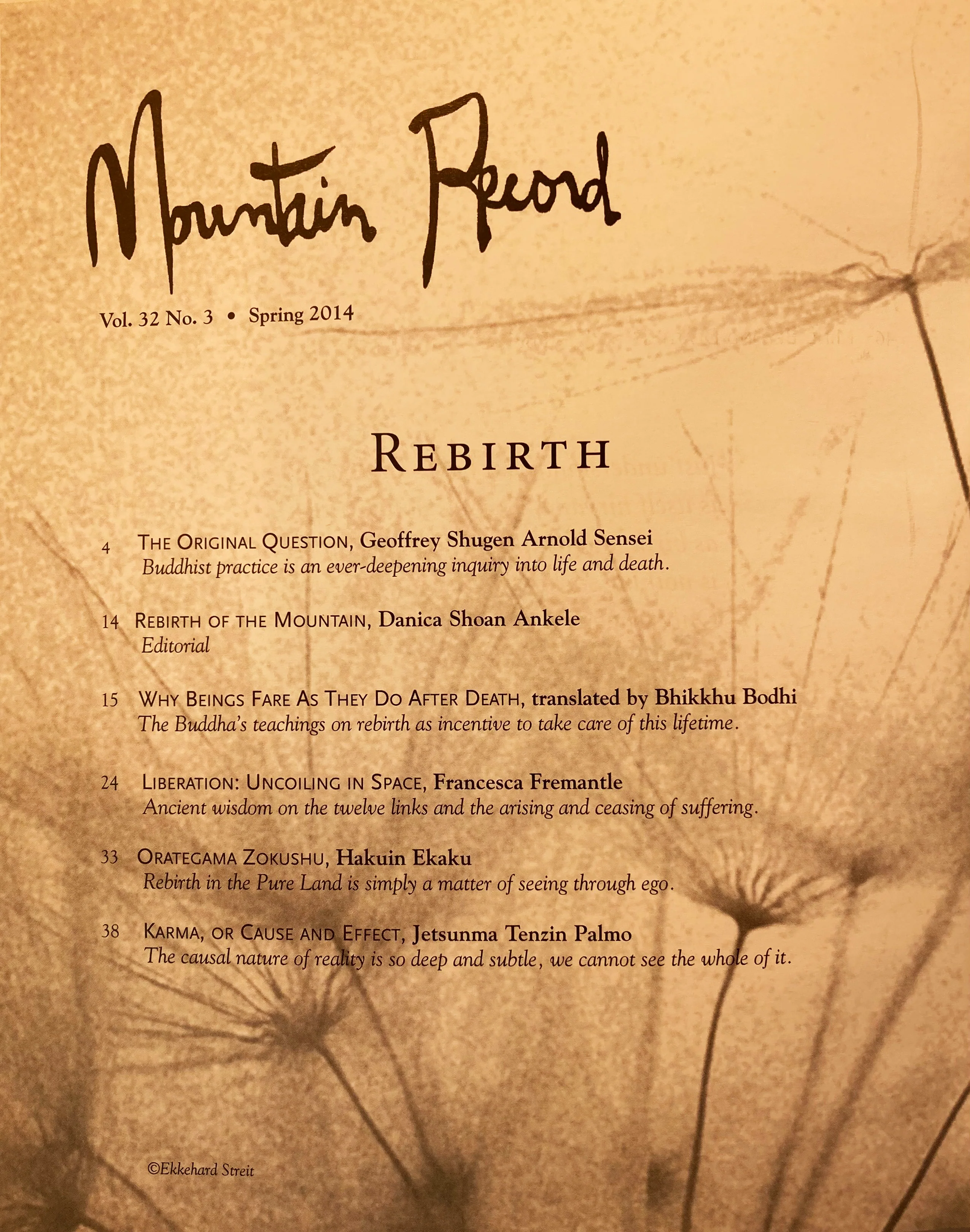 Rebirth - Mountain Record, Vol. 32.3, Spring 2014 - Image 2
