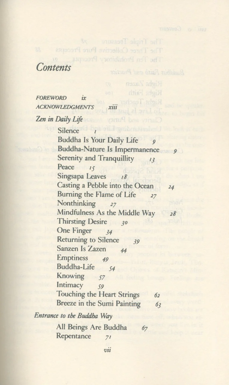 Returning to Silence: Zen Practice in Everyday Life - Image 3