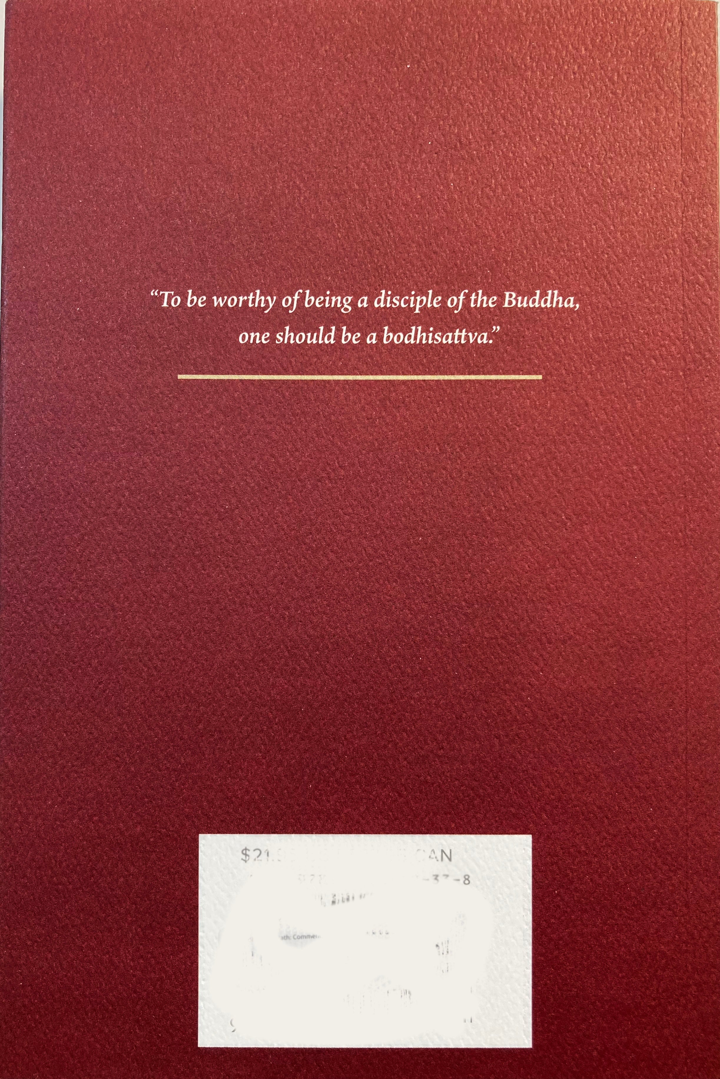 The Bodhisattva Path: Commentary on the Vimalakirti and Ugrapariprccha Sutras - Image 2