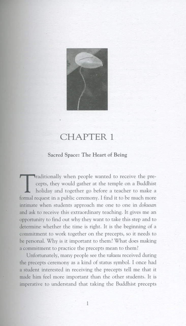 The Heart of Being: Moral and Ethical Teachings of Zen Buddhism - Image 5