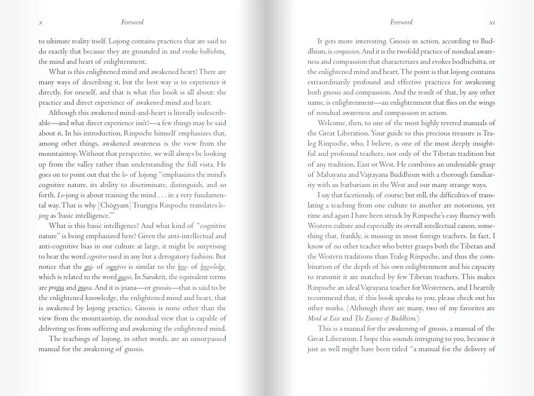 The Practice of Lojong - Image 3