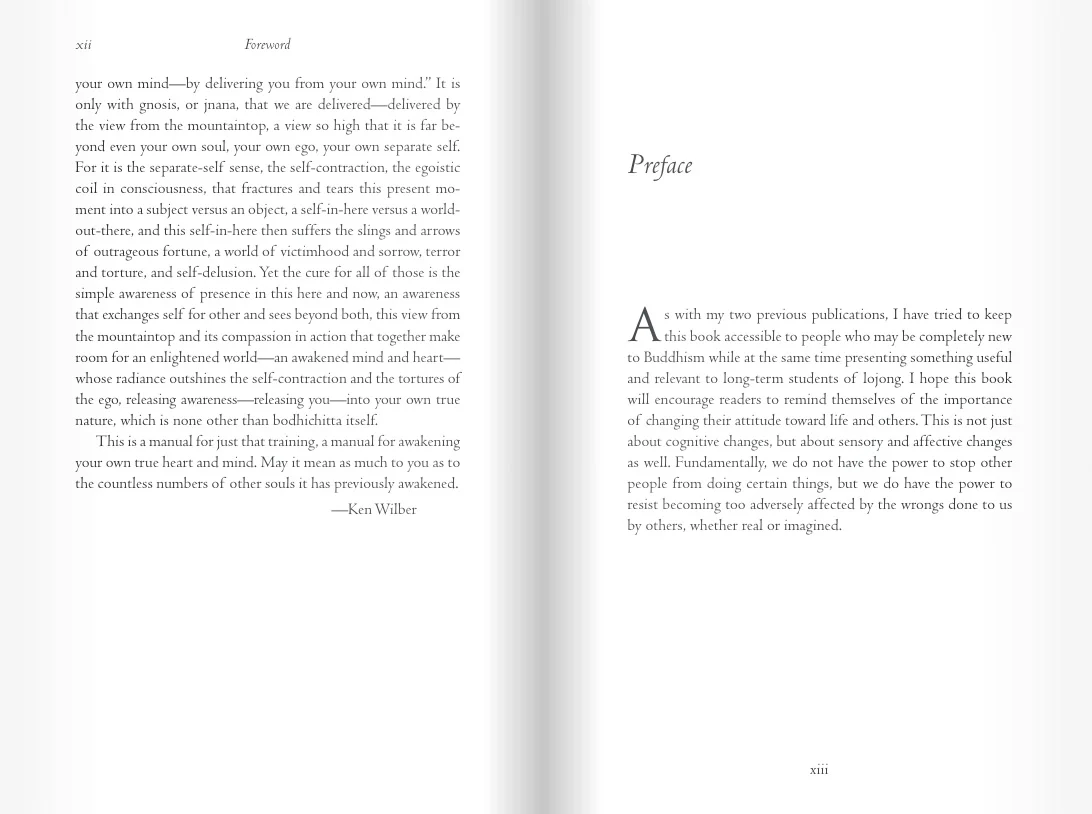 The Practice of Lojong - Image 4