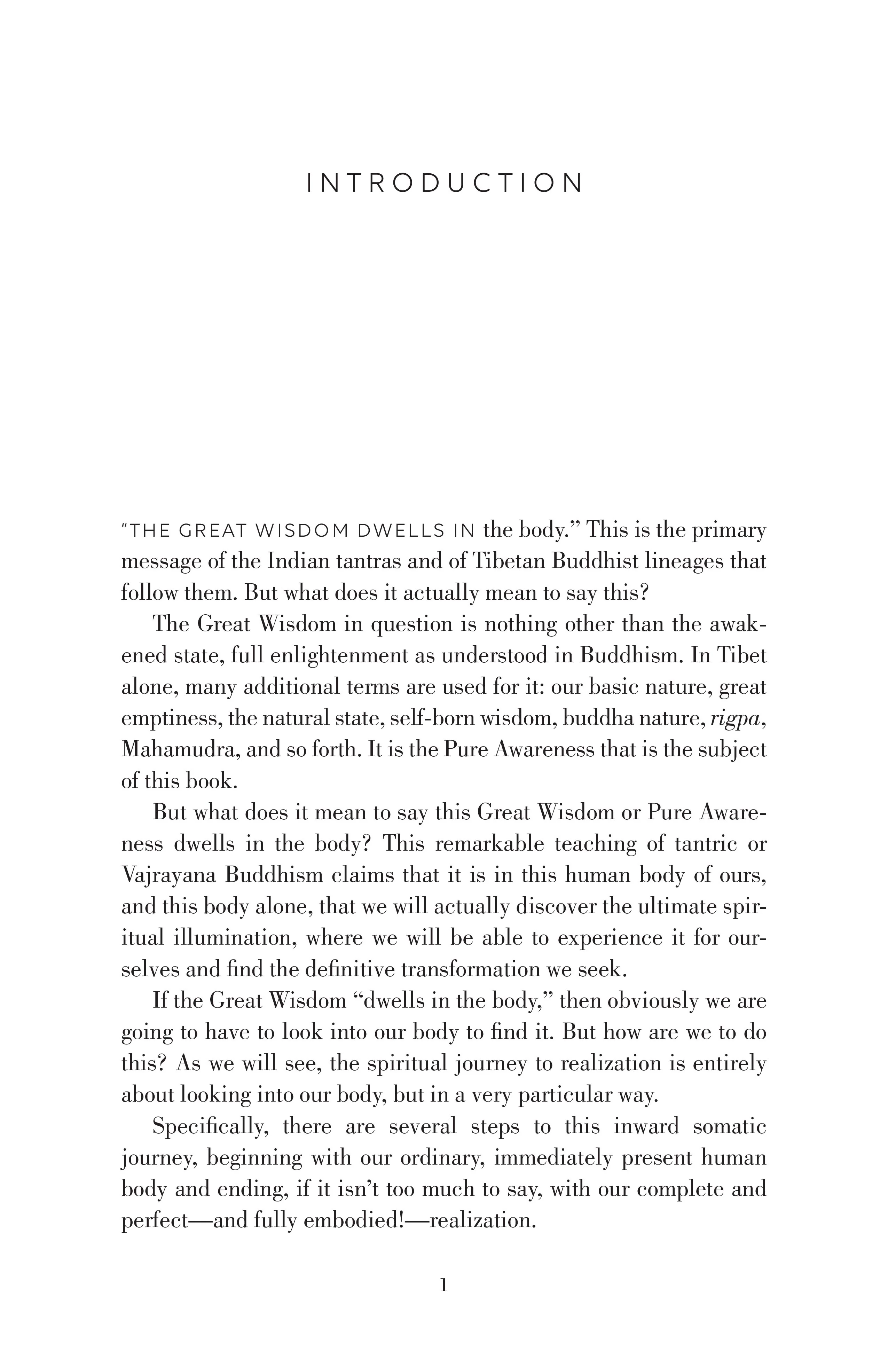 The Practice of Pure Awareness - Image 4