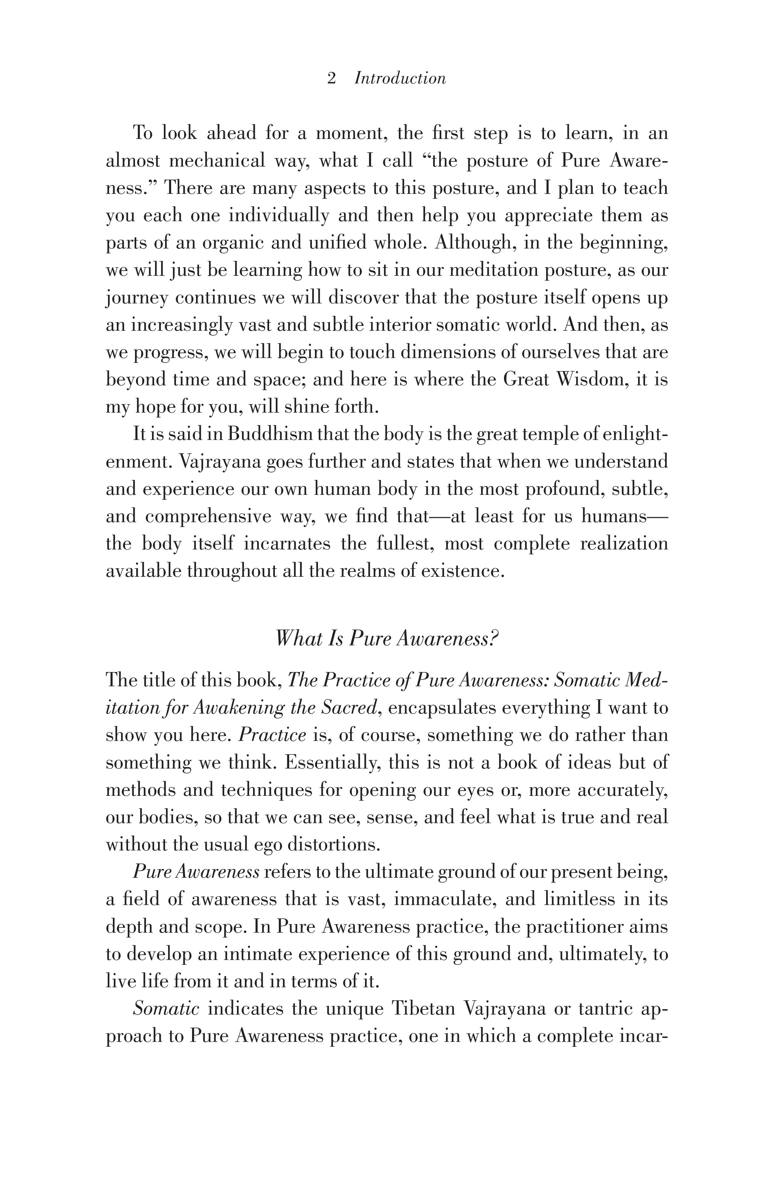 The Practice of Pure Awareness - Image 5