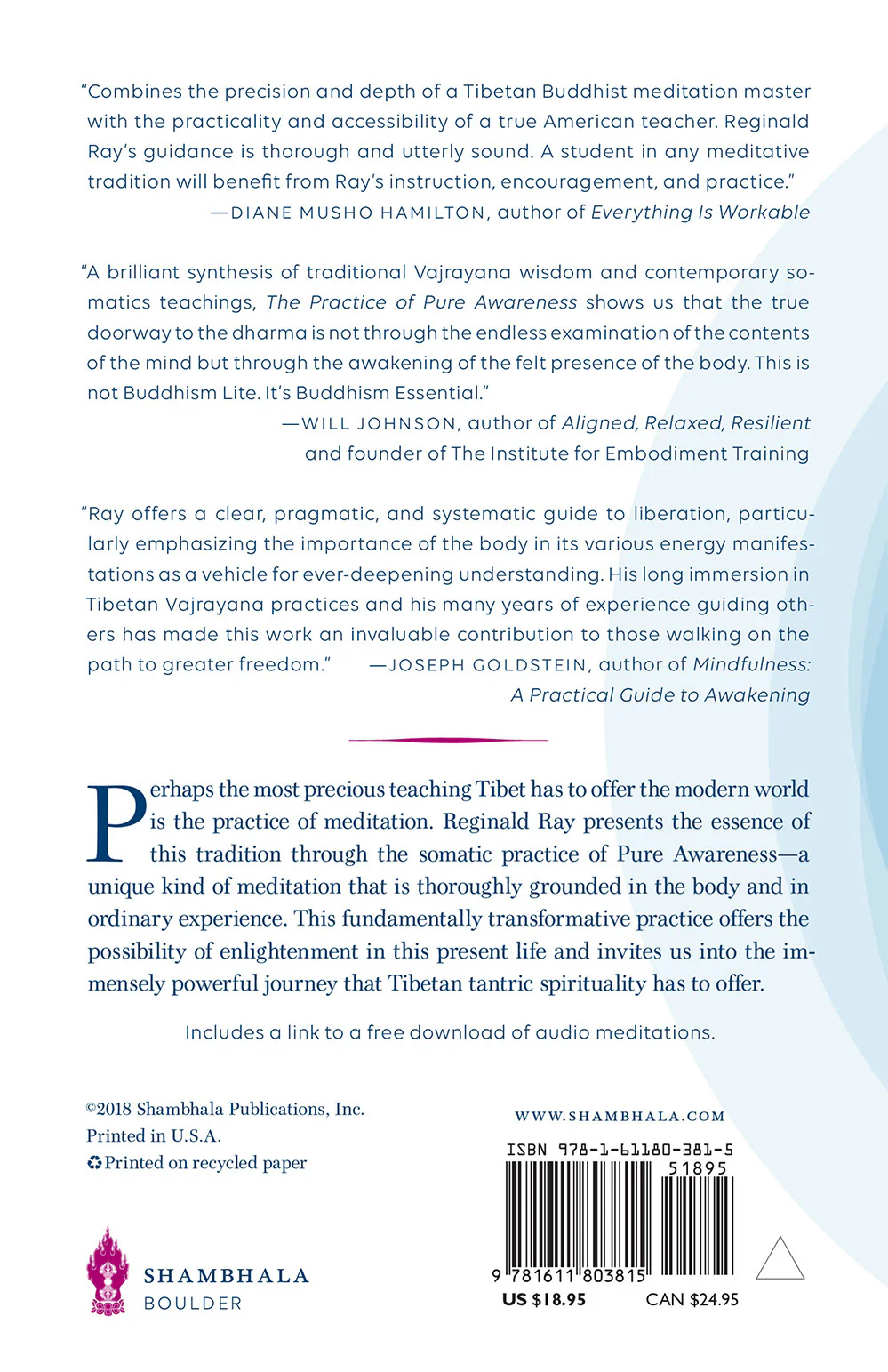 The Practice of Pure Awareness - Image 7
