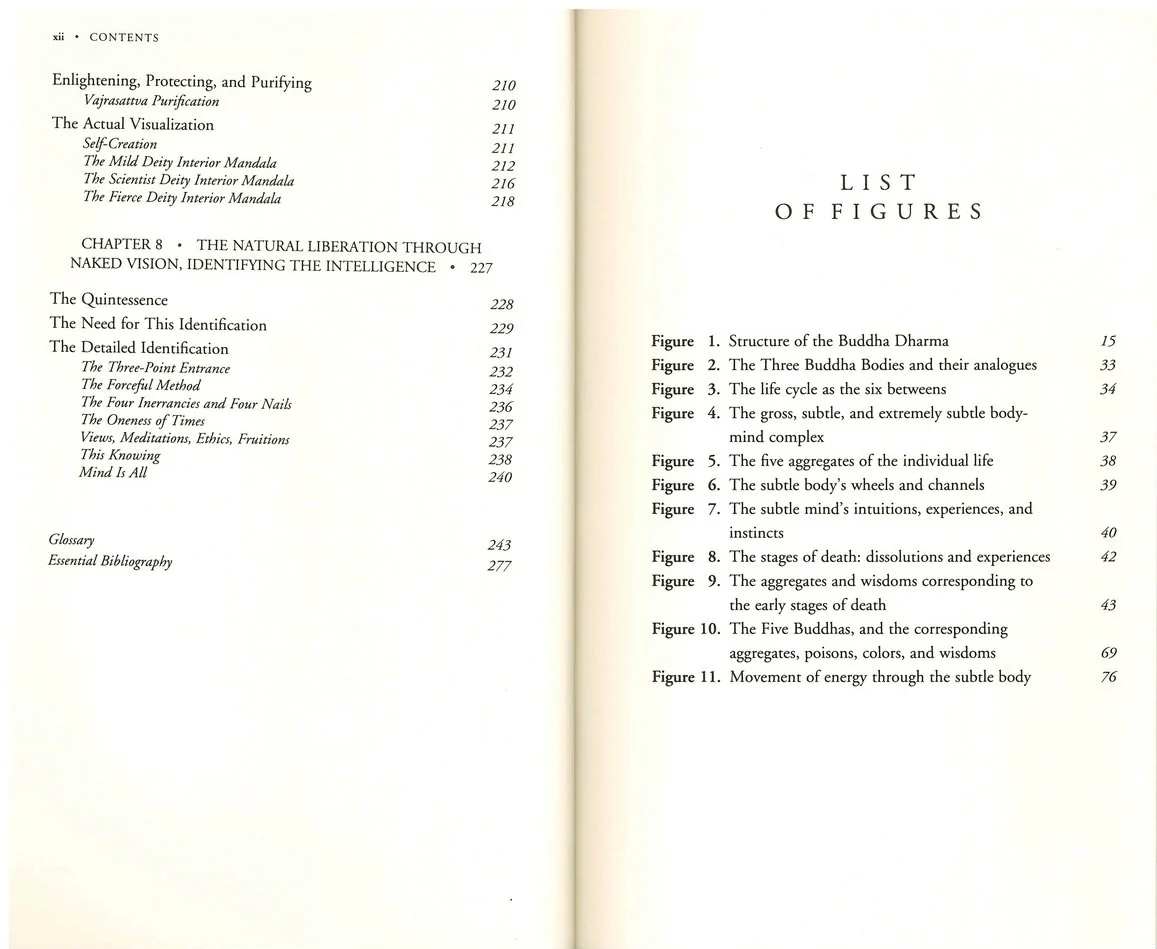 The Tibetan Book of the Dead: The Great Book of Natural Liberation Through Understanding in the Between - Image 5