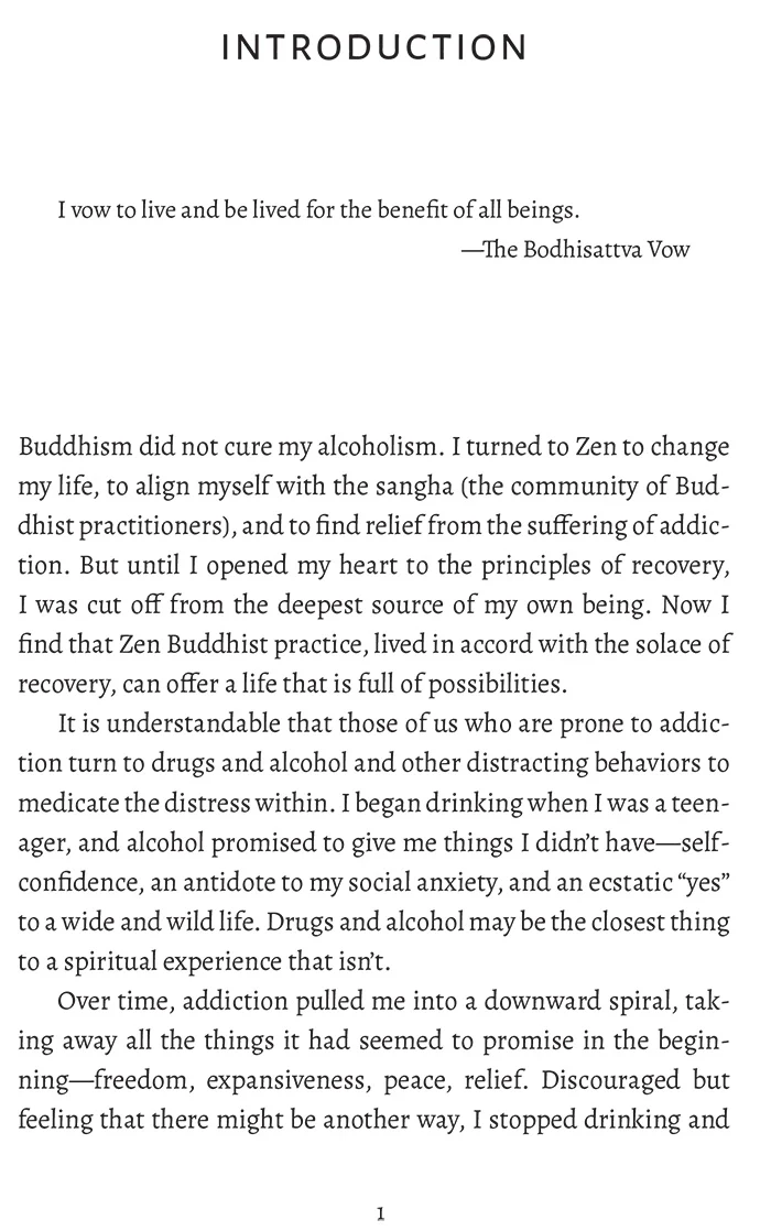 The Zen Way of Recovery - Image 2