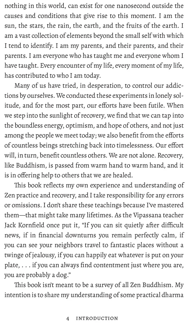 The Zen Way of Recovery - Image 5