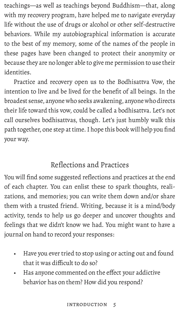 The Zen Way of Recovery - Image 6