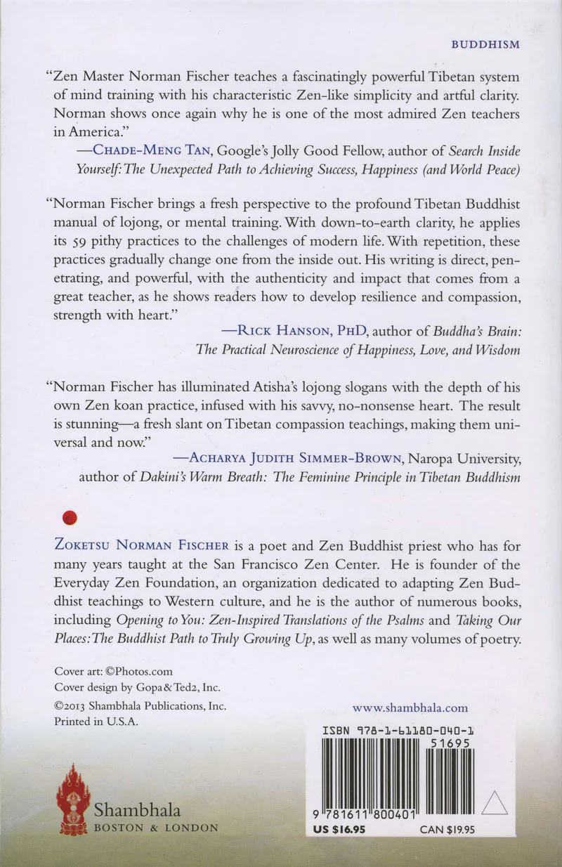 Training in Compassion: Zen Teachings on the Practice of Lojong - Image 2