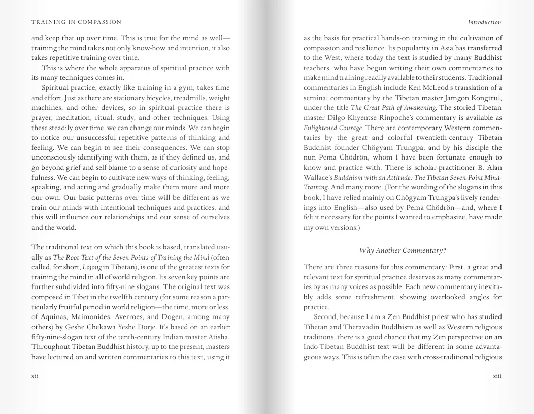 Training in Compassion: Zen Teachings on the Practice of Lojong - Image 5