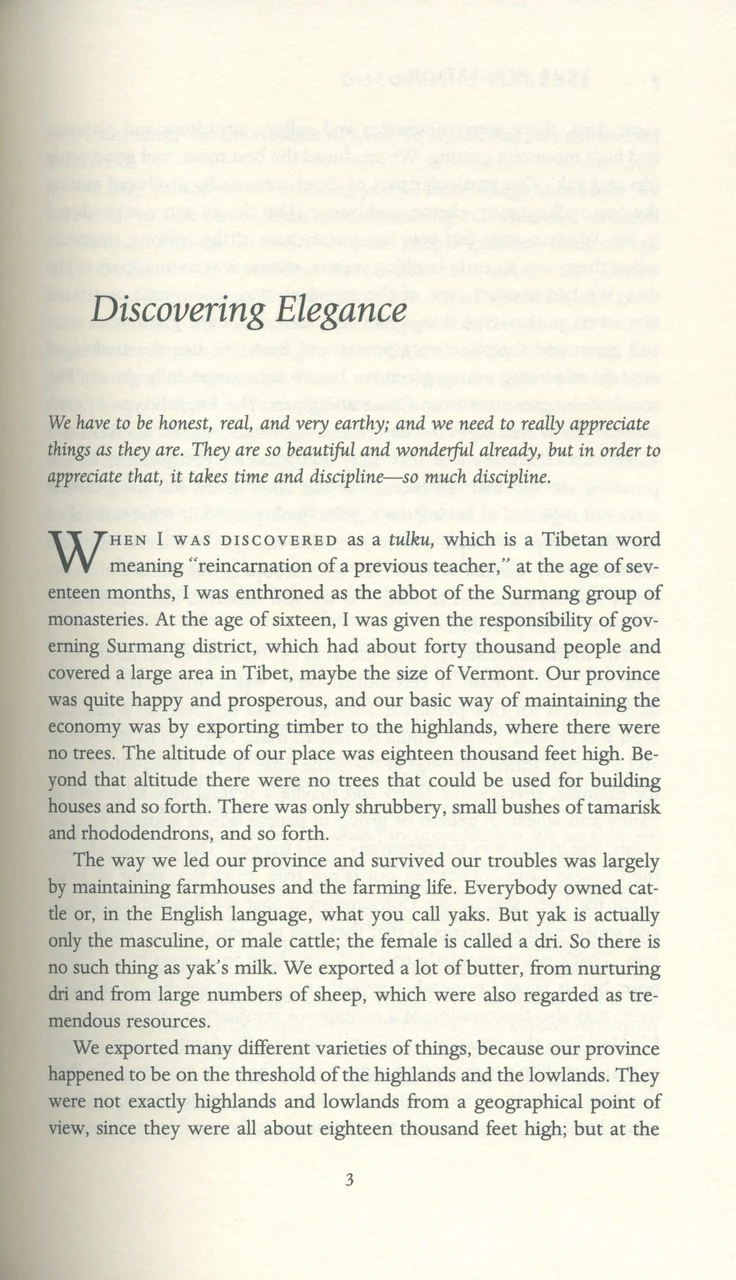 True Perception: The Path of Dharma Art - Image 6