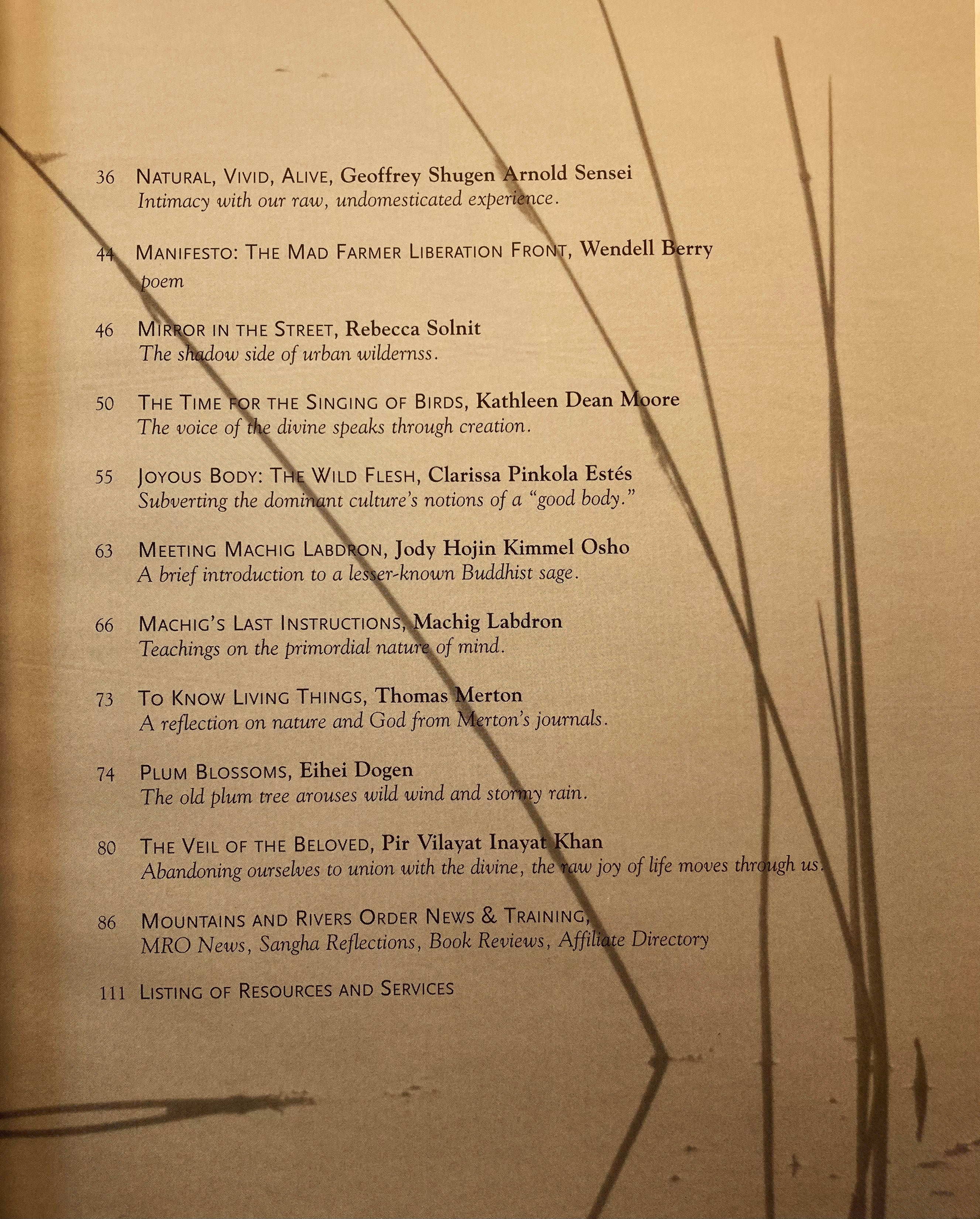 Wildness - Mountain Record, Vol. 32.4, Summer 2014 - Image 3