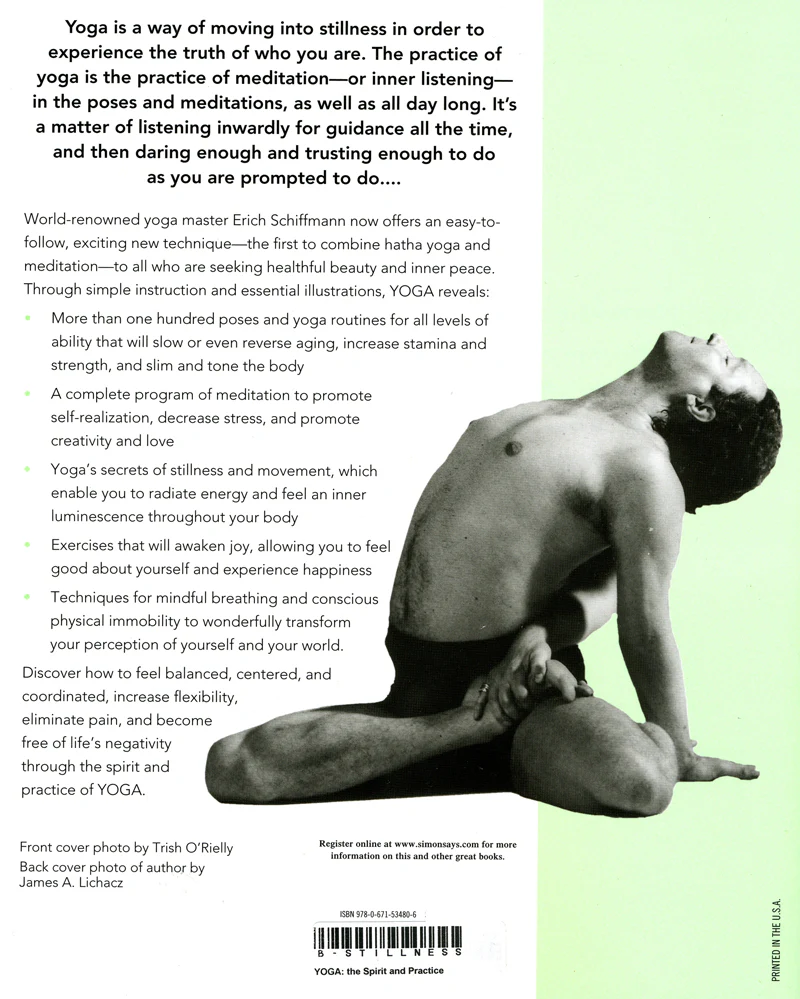 Yoga: The Spirit and Practice of Moving Into Stillness - Image 2