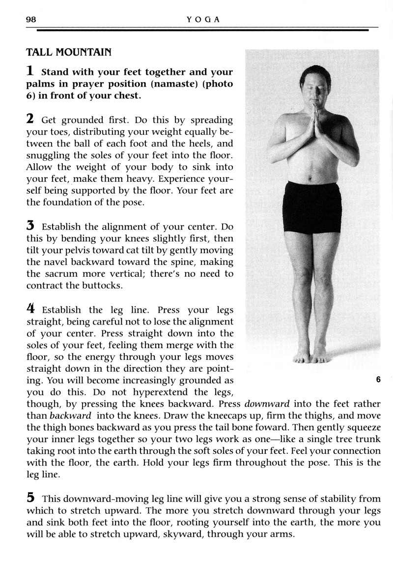 Yoga: The Spirit and Practice of Moving Into Stillness - Image 3