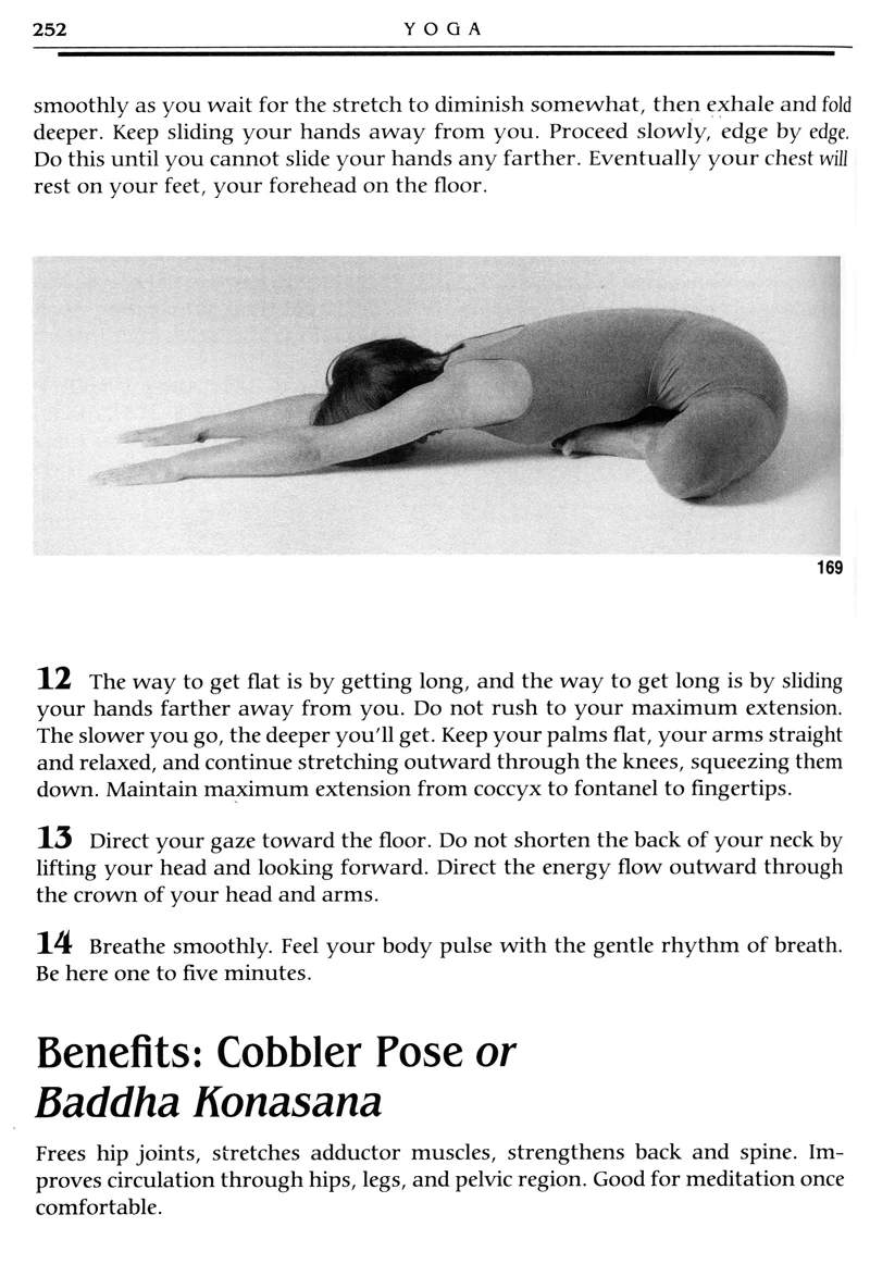 Yoga: The Spirit and Practice of Moving Into Stillness - Image 4
