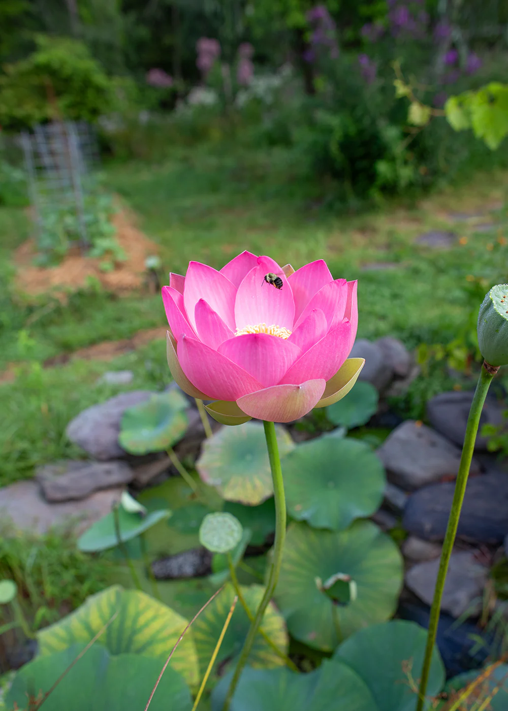 Zen Mountain Monastery greeting cards - Image 4